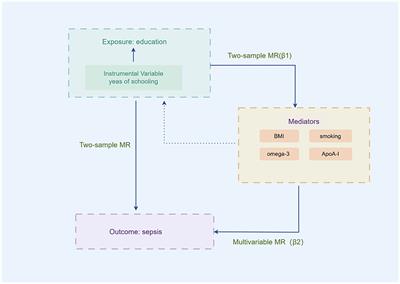 Associations of educational attainment with Sepsis mediated by metabolism traits and smoking: a Mendelian randomization study